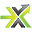 Next Level Favicon X Logo